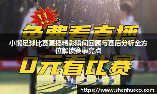 小懒足球比赛直播精彩瞬间回顾与赛后分析全方位解读赛事亮点
