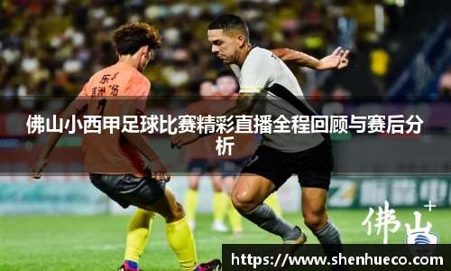 佛山小西甲足球比赛精彩直播全程回顾与赛后分析